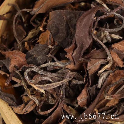 云南白茶的产地环境