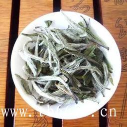 白茶冲泡方法