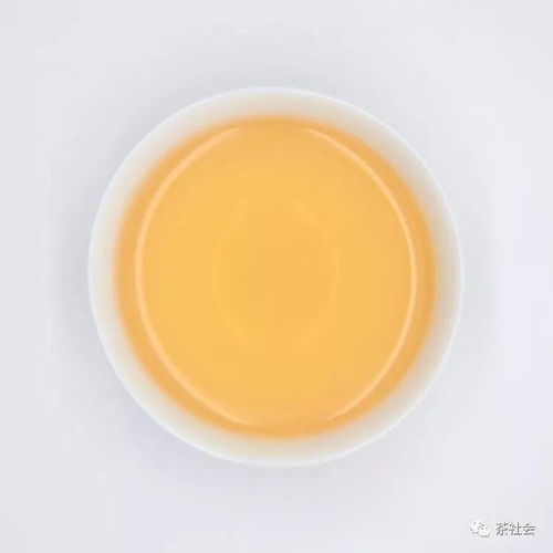 廉价白茶
