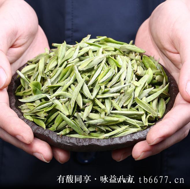 白茶有什么功效